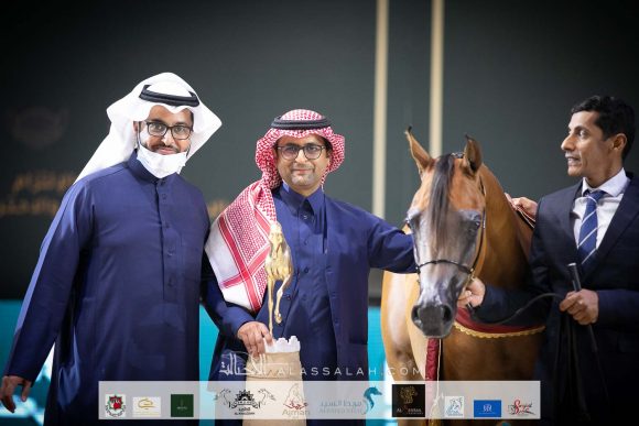 دمشق السيد (فاليدورو x ديلايتس دياف ار بي) مربط السيد