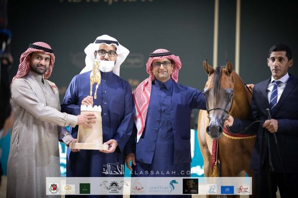 دمشق السيد (فاليدورو x ديلايتس دياف ار بي) مربط السيد