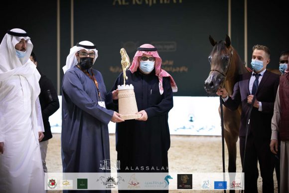 نوف عذبه (ايه كي اس اليهاندرو x او اف دبليو برايس) مربط عذبه