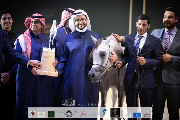 دلال السيد (اليكساندر x داشا ارابكو) مربط السيد