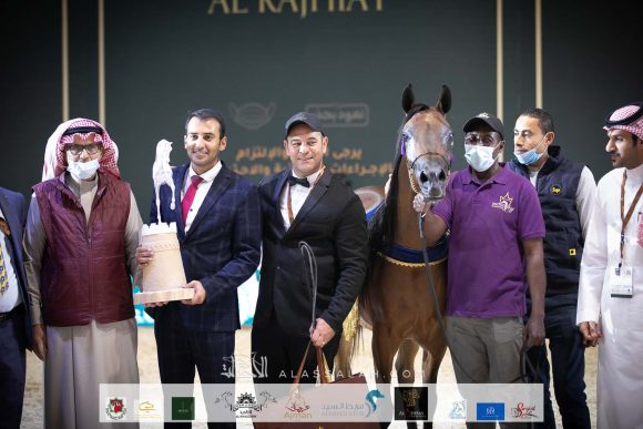 سانقريا (كنز البداير x جي سي ال إي ماريس ) مربط ام تي