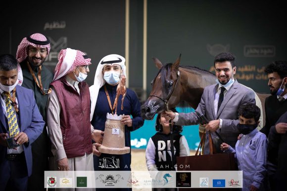 طيبة البارق (ار اف اي فريد x فيسيون مروان ايه ايه) مربط البارق