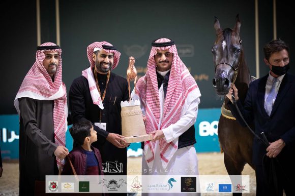 بياكولا (انزو x بولونيكا) مربط سما نجد