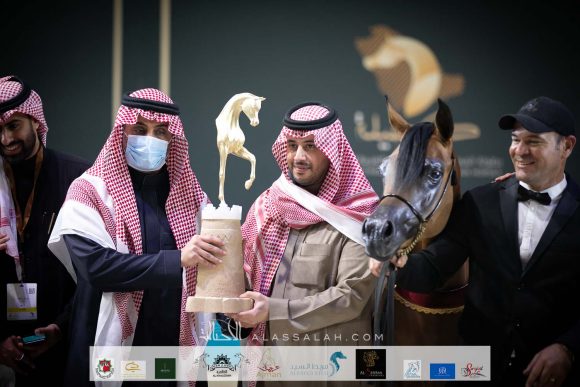 بندر الوصيل (سلمان الوصيل X   مضاوي الجنادرية) مربط الوصيل