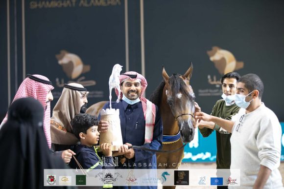 مرزان الهواجر (ع ج مرزان X جوهرة الهواجر) مربط العنان