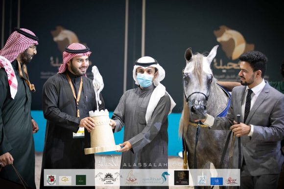 ع ج ناتل ( جلاردو جي X ع ج نور كويستورا) مربط عبد الله الحيدري