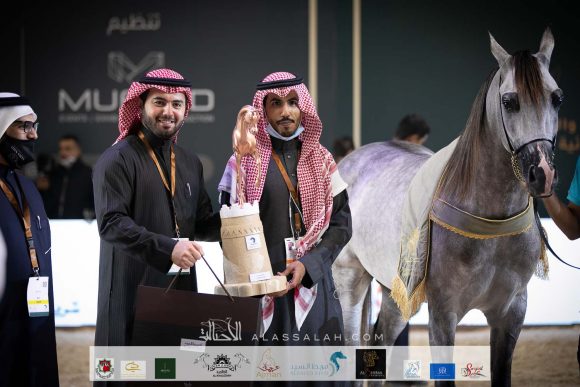 دي صبحان (اف ايه الرشيم X دي صبحه) مربط حطين