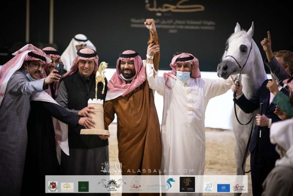 فويرتي (شنغهاي إي ايه X فريموزكا) مربط المخلديات