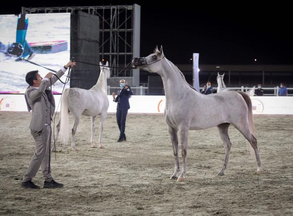 a2ec9cb4-4ba3-41ae-823c-e4f447451f96