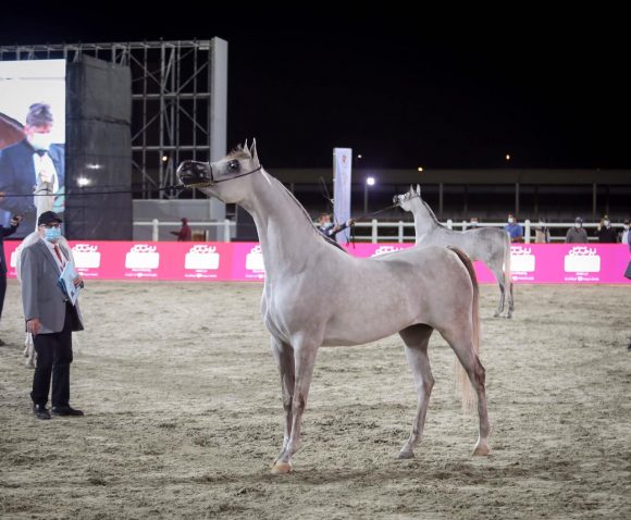 a8252e74-2cf3-437d-922f-627d722d9f1a