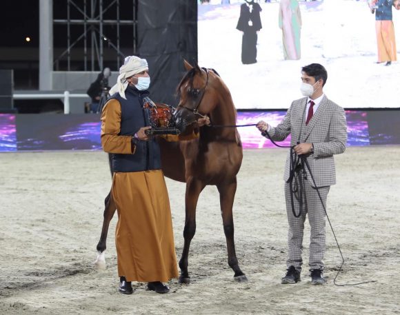 b74e0913-255c-4e02-9eaf-37367cab1da2