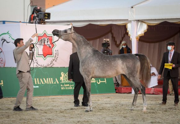 ea870076-5fa0-441a-abc5-8bac04cc5079