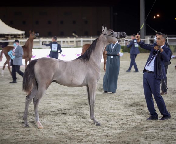 f36a0815-6830-47e0-840a-e9b2a76ee6f9