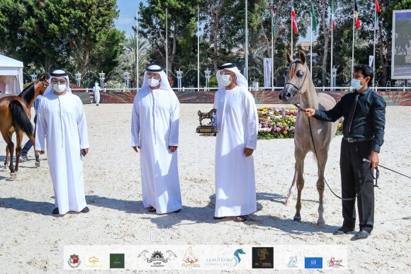 0427ba96-50d3-478e-b8a3-cdbd176578dc