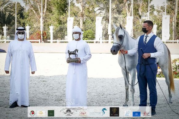 12302955-68f6-4fd2-b2a5-66edaec9eaea