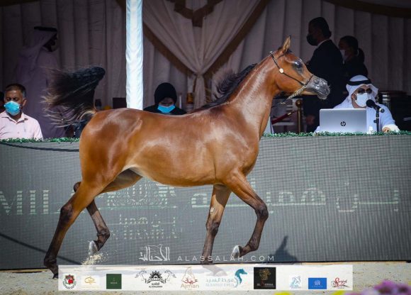 15b0fb6b-42f1-4947-9923-b7e3d6cc4f67