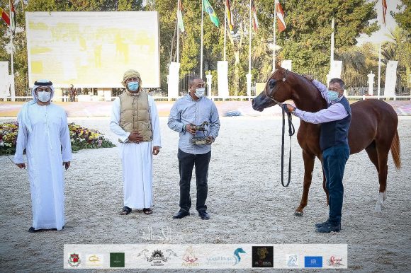 20d286d6-8995-4802-9318-fe4acbc11474