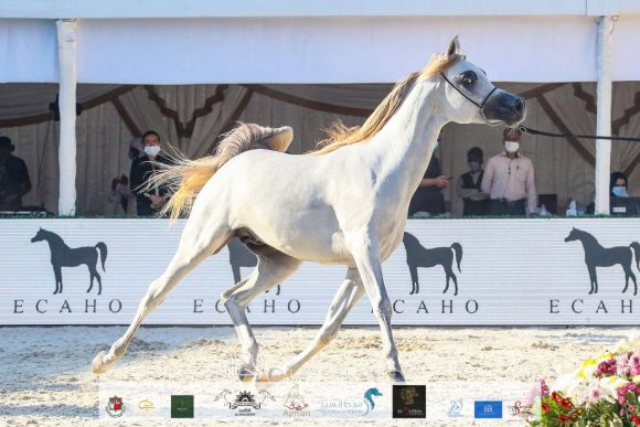 25ba71b9-3004-4e9e-8b21-bc1e9755de60