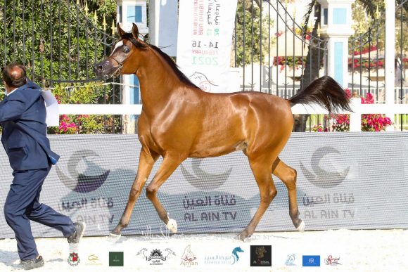 2a7e1c7d-a7cc-416b-af5f-da33c59f139b