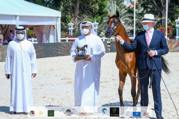 2c8fec96-8c79-48b9-841c-c62eef659d6f