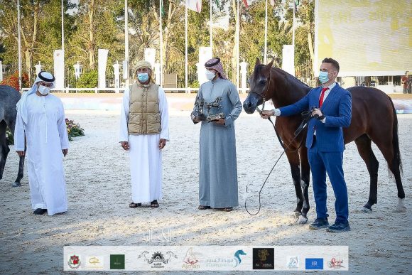 2ee83f7d-b824-4c1b-8037-83d18d05354b