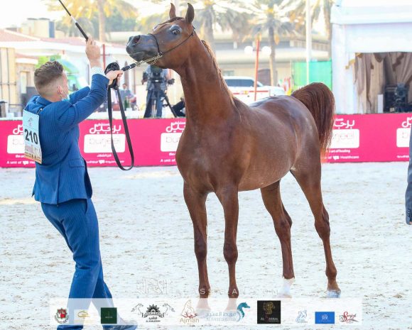 2fa83e26-3fde-4657-8a06-1742f036f79c