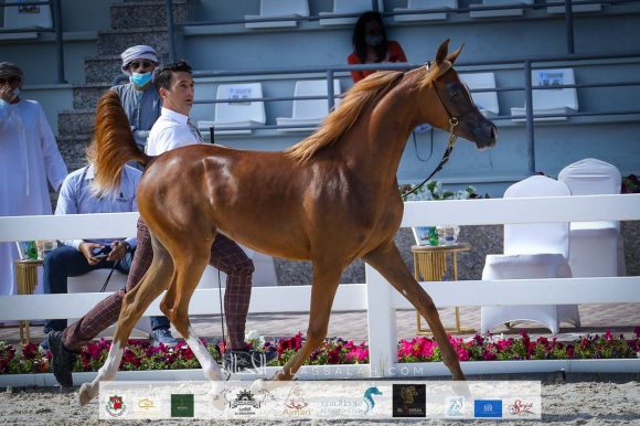 346343b5-b104-44e1-a3e8-bb21538871ba