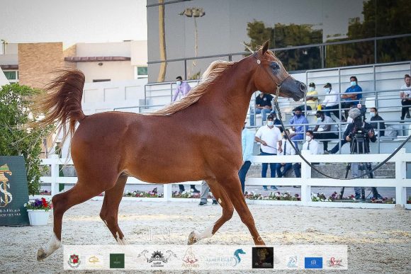 3e1a969e-6ebc-44d1-983d-6b988d97155b