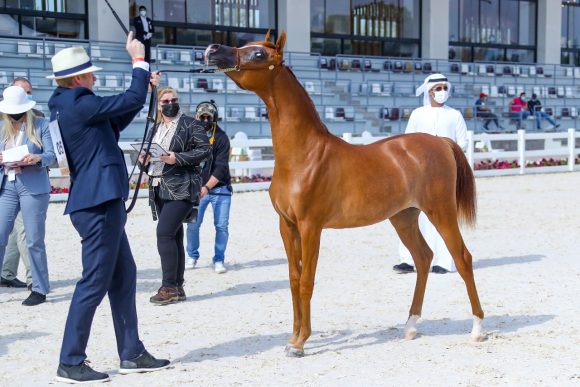 40e8ff10-2630-4d26-894c-d3c14a49f5e6