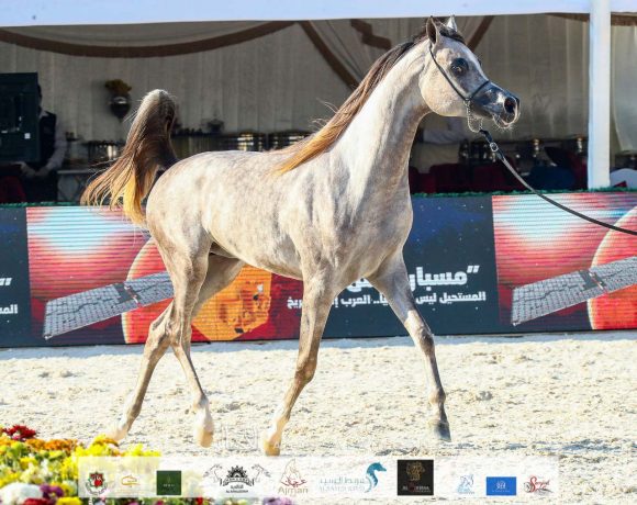 532063a6-5759-461b-a6c3-853a82c9ff2f