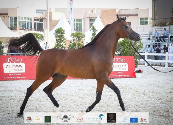 6311b501-b6e4-4ef2-b571-774e09fdcf37