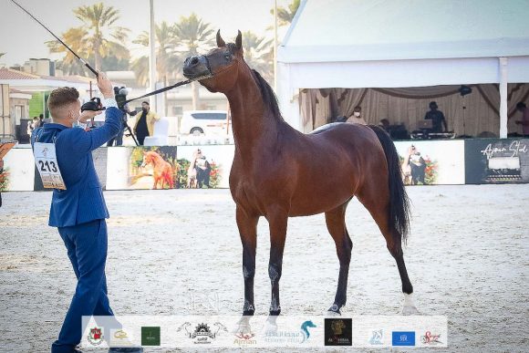 6be4ea53-8086-4b88-b878-9037c8dfbc93