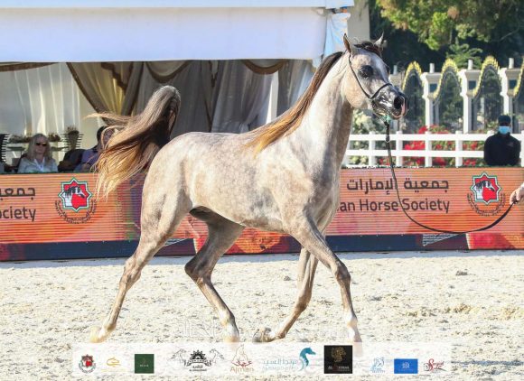 7dbd6805-5f49-4df6-9f96-9434610295c1