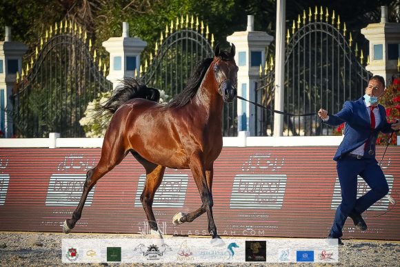 87bd91a2-c08f-4070-87d1-cab7d3b29b40