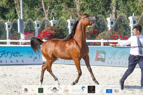 8b7f2bde-bea7-4d48-b15b-ef40707793cd