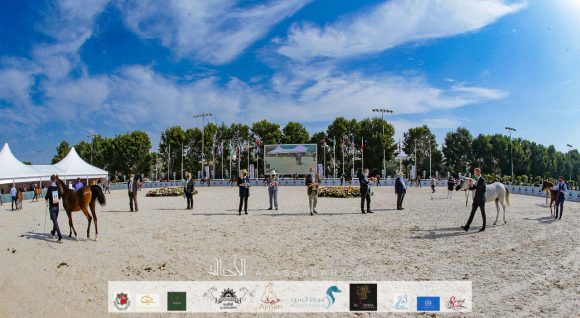 90dd9203-45ce-4801-9307-dfcee996b59c