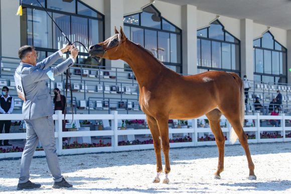 98615662-5528-4082-8eb6-f1393e701693