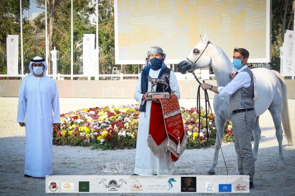 دي فنانة (اكسكليبور إي اي X الي فلامينكا) مربط دبي