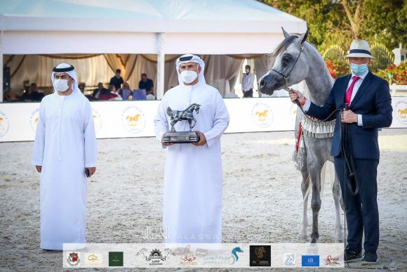 الأريام شكلان (اكسكليبور إي اي x الأريام شكيرة) اسطبلات الأريام