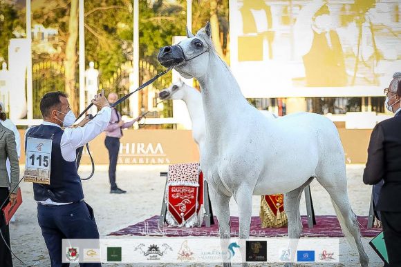 : إي اس شيخة (اس ام اي ماجيك وام X ماجستي) الشيخ عبد الله بن ماجد القاسمي