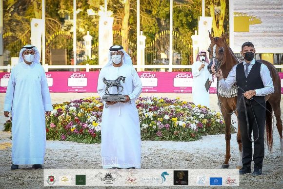 ع ج براكة (ع ج مرزان X برينسيس اوف جاستيس) مربط عجمان