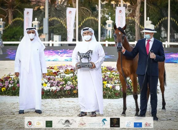 الأريام الظنة (رعود البداير X الأريام بسمة) إسطبلات الأريام