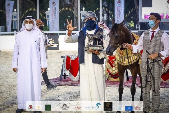 دي راسل (اف ايه الرشيم x ليدي فيرونكا) مربط دبي