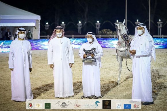 جيان دي نوتياك (شايل دريم ديزرة x جوماليا نوتياك) مربط بدر عدنان أحمد آل علي