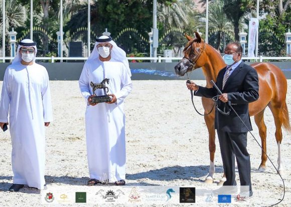 a3483a15-5cd5-4820-8844-735ac75dbbc9