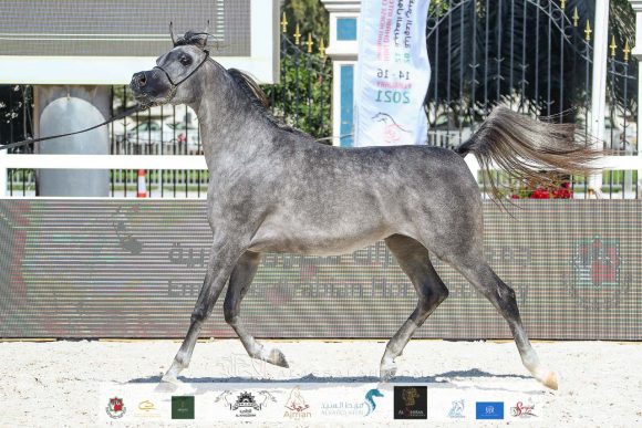 a73257c3-9aae-4210-8ce5-dba8db6435cc