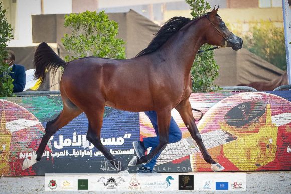 b97b2312-69e4-4b7e-808d-03ff2ec9f8db