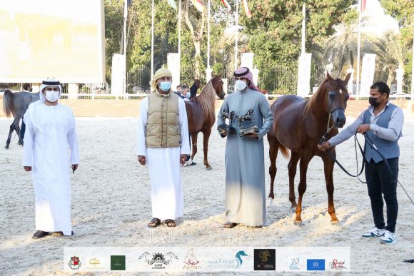 c9c78832-89e9-4e5d-8a24-f0b868aa22c5