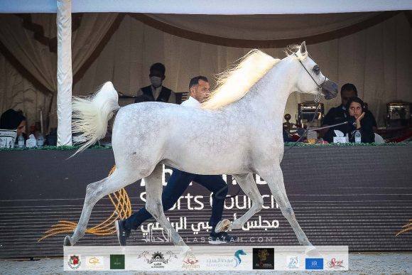 d0b7bb11-58a5-484e-a18b-a752ba05ce39