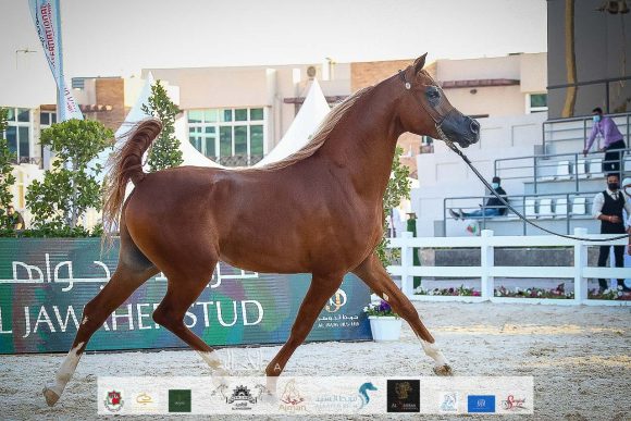 d211b5eb-a6fc-4b9a-b2a0-6bfa541facb1